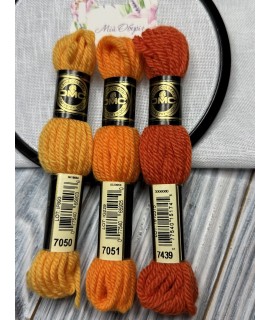 7050 Colbert DMC floss