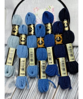 7035 Colbert DMC floss