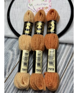 7917 Colbert DMC floss