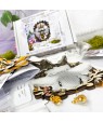 Embroidery Kit “Queen Bee” (art. 1114