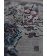 Peacocks — embroidery kit VP‑038