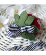 Strawberry & Gingham — embroidery kit