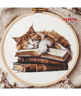 Муркотун