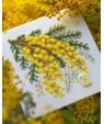 Mimosa — Embroidery Kit VB‑090