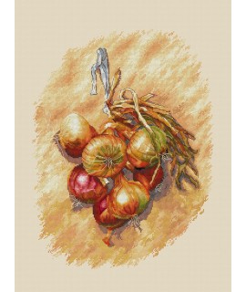Цибульки