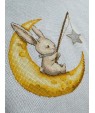 Embroidery Kit “My Little Star (Silver)”