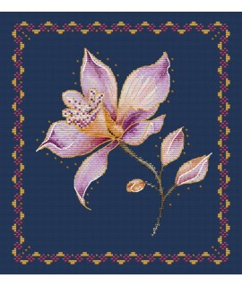 Colors of Nature – Orchid