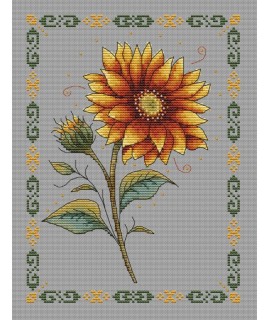 Colors of Nature – Sunflower