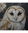 Night Watcher — Designer Embroidery Kit by Olga Remeza