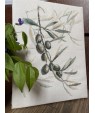 Olives on the Branch — Riznobarvna Kit by Olga Remeza