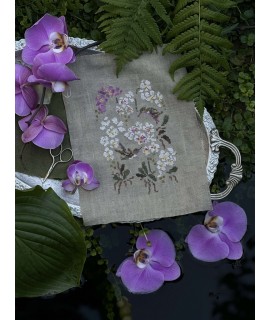 Rainforest Orchids